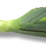 Leek